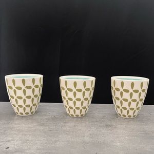 Starbucks Tea Cups